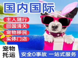 宁波航空空运国际宠物托运 【国